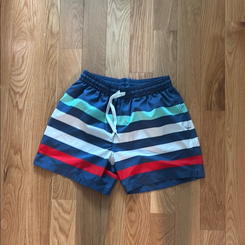 Chubbies Small Navy Swim Shorts